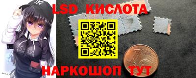 прущие грибы Кулебаки