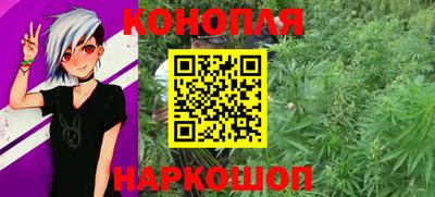 гидропоника Краснознаменск