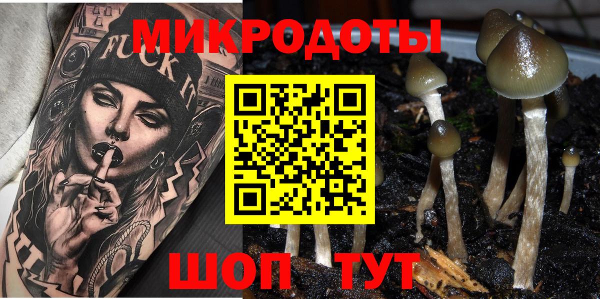 Псилоцибиновые грибы MAGIC MUSHROOMS  Вход с VPN  Щёлково 